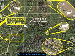 Holopaw Groves Rd, Saint cloud, FL 34773