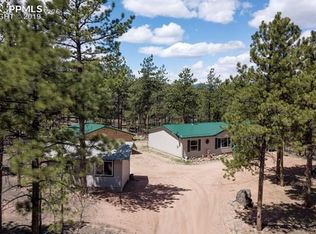 2699 Pikes Peak Dr, Florissant, CO 80816