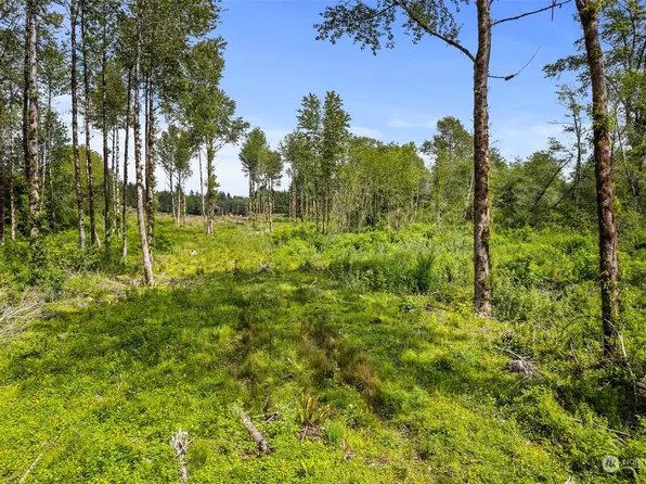70 Joy Lane Lot 7, Humptulips, WA 98552