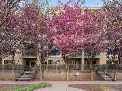 825 Berry St APT 201, Saint Paul, MN, 55114