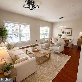 100 Sand Dollar Cv — Photo 5