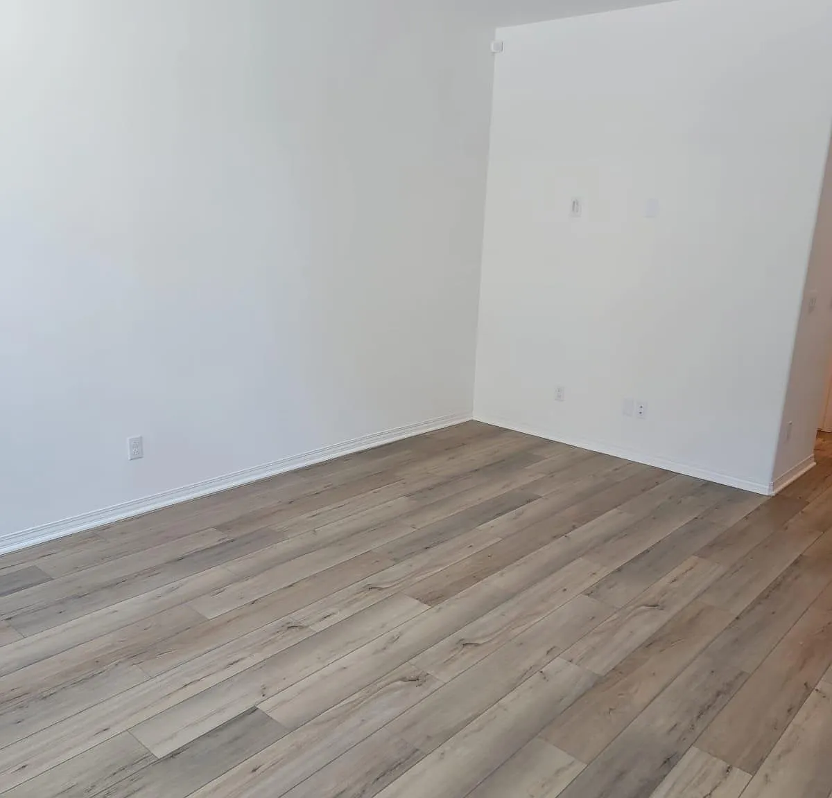 34495 Agave Dr — Photo 1