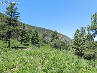 5900 Pawnee Rd, Larkspur, CO, 80118