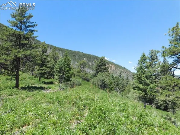 5900 Pawnee Rd, Larkspur, CO 80118