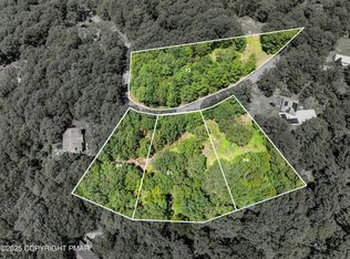 65 Laurel Ct, Swiftwater, PA 18370