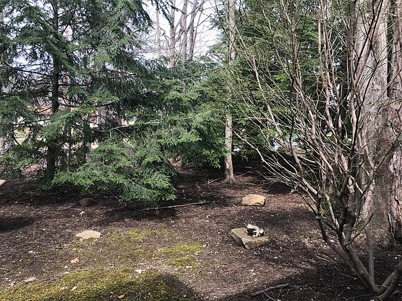3rd image of 8465 Bushnell Ct Unit B