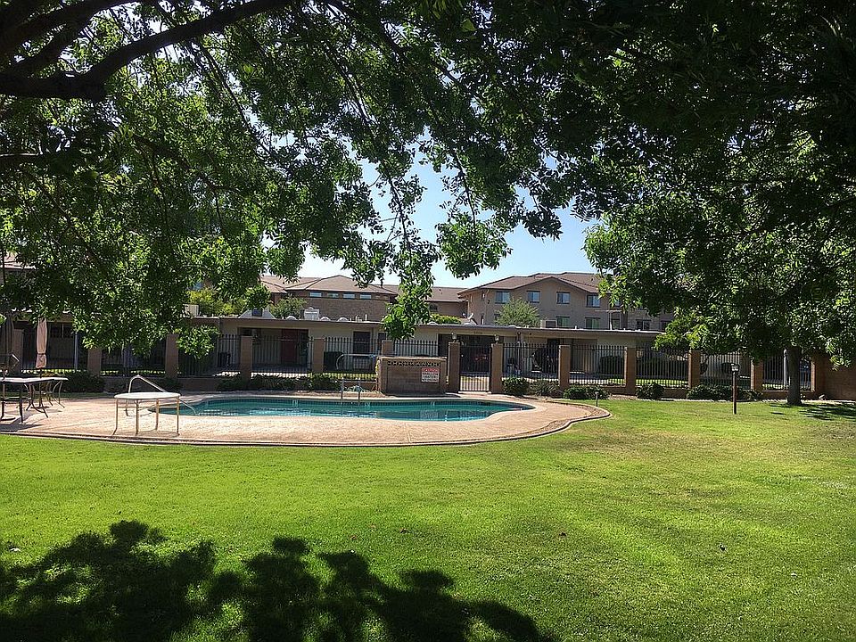 Backyard Pool