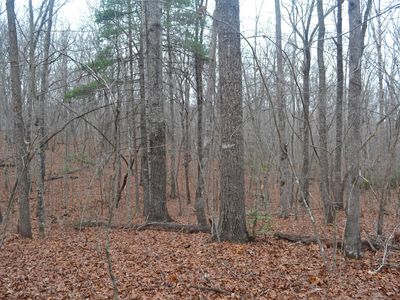 72AC Blackberry Ln, Spring City, TN, 37381