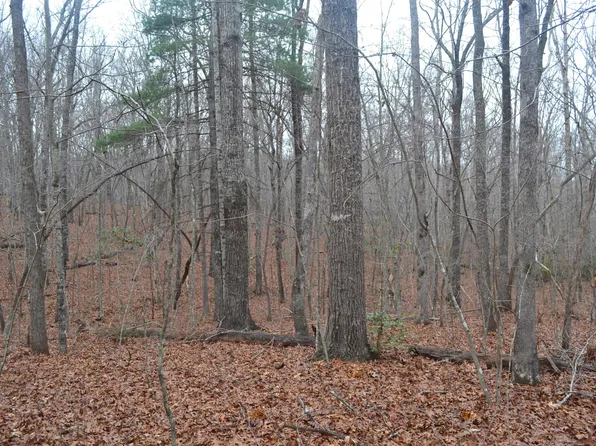 72AC Blackberry Ln, Spring City, TN 37381