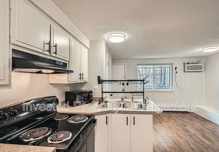 1140 N Downing St #102 — Photo 7