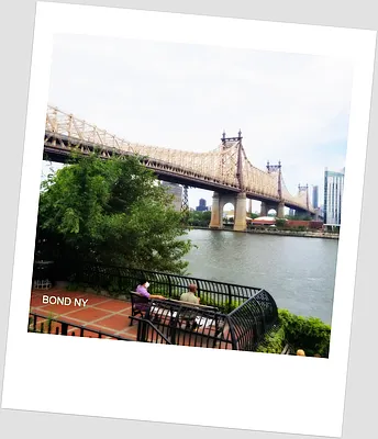 Rented by Bond New York | media 1