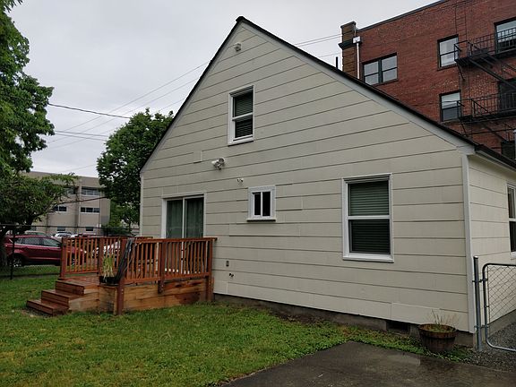 Backyard (south side)