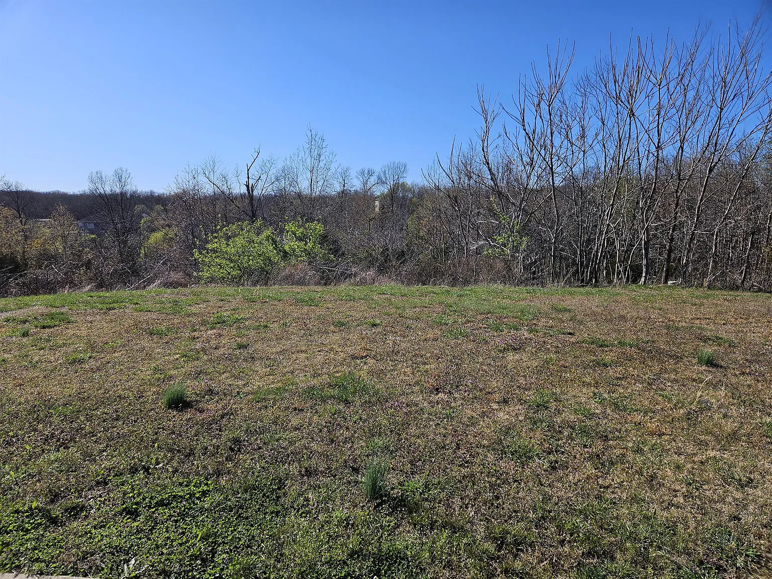 221 Settlers Pass - 1 — Photo 3