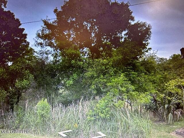 1st image of 0 Primrose Dr