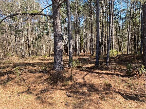 3rd image of LOT 2C Grand National Pkwy