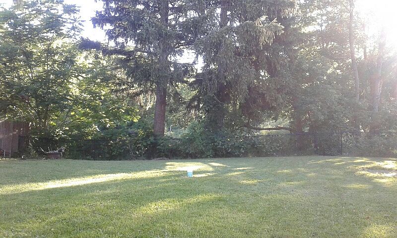 Fully fenced backyard 3/4 ac