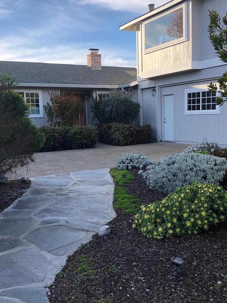Street view with stone walk way entry path - 26040 Dougherty Pl