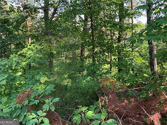 3rd image of 1335 Birch Ln