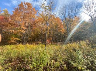 535 Scutt Mountain Rd, Bloomville, NY 13739