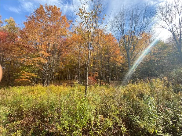 535 Scutt Mountain Rd, Bloomville, NY 13739