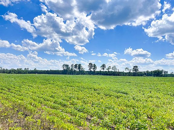 5th image of Fire Tower Rd Lot Wp002