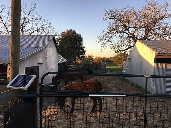 2 Barns with Cattle Chute