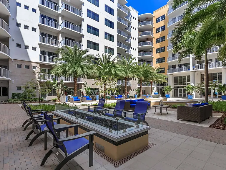 Step into the lush courtyard, where palm trees and calm surroundings invite you to unwind and enjoy the moment.