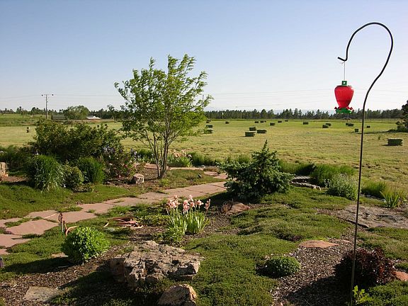 380 70 lb. bales of grass hay this year