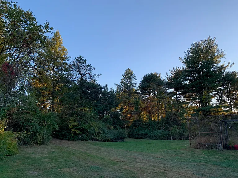 View from back patio.