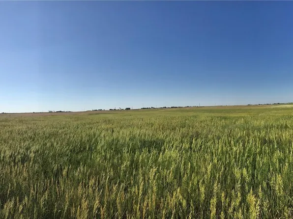 40505 county rd 10, Bennett, CO 80102