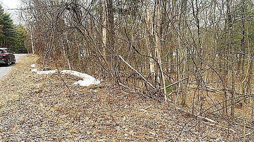 2nd image of 105 Neversink Dr