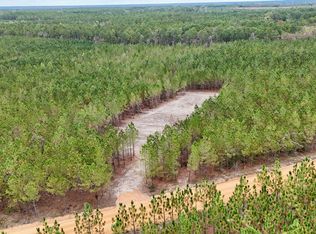 TRACT 7 Penny Morris Rd #8, Baxley, GA 31513