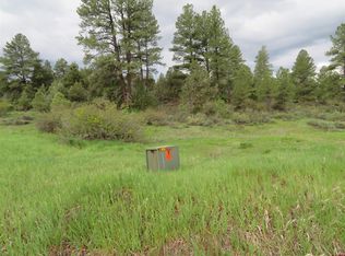 268 Hurt Ln, Pagosa Springs, CO 81147