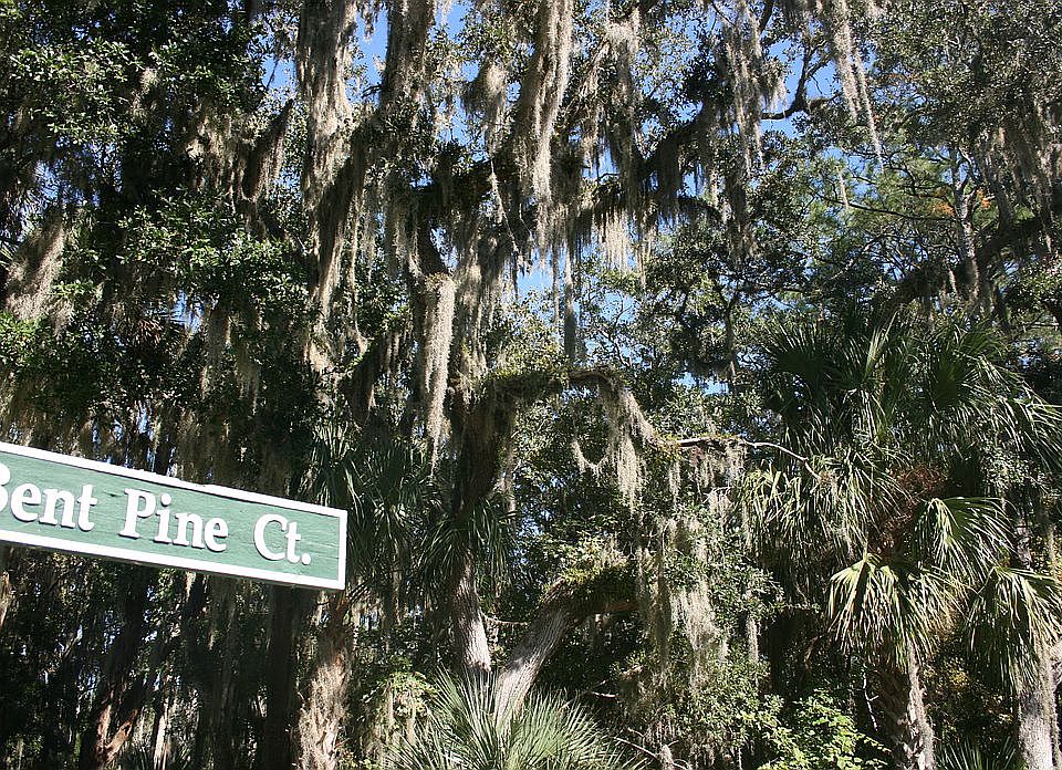 1st image of 100 Bent Pine Ct