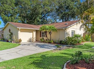 14113 Arbor Hills Rd, Tampa, FL 33625