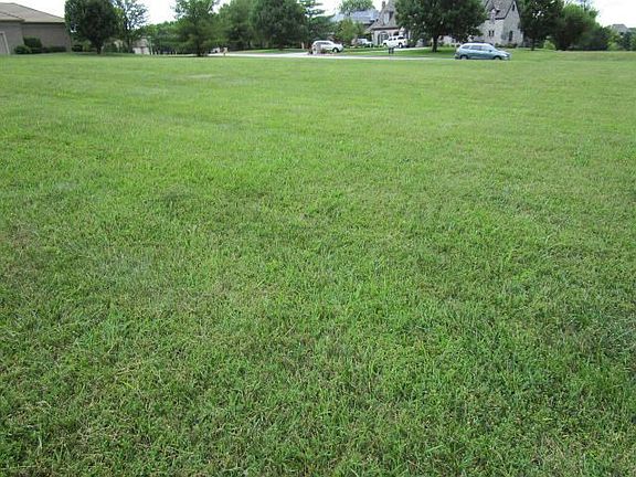 4th image of 4018 E Glen Abbey Dr