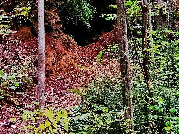 4th image of 0 Shoal Rdg #2