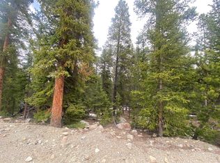 876 Bobcat Ln, Fairplay, CO 80440
