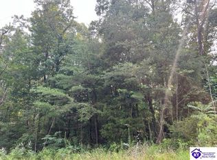 205 Laurel Ridge Rd, Mammoth Cave, KY 42259