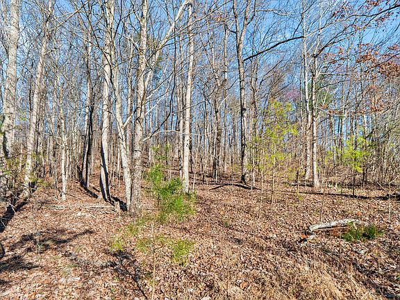 4th image of 2085/1935 Big Fork Rd