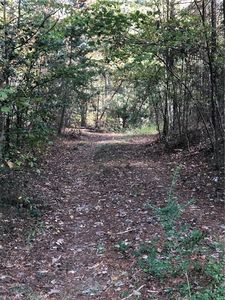 0000 Nc Highway 87, Reidsville, NC, 27320