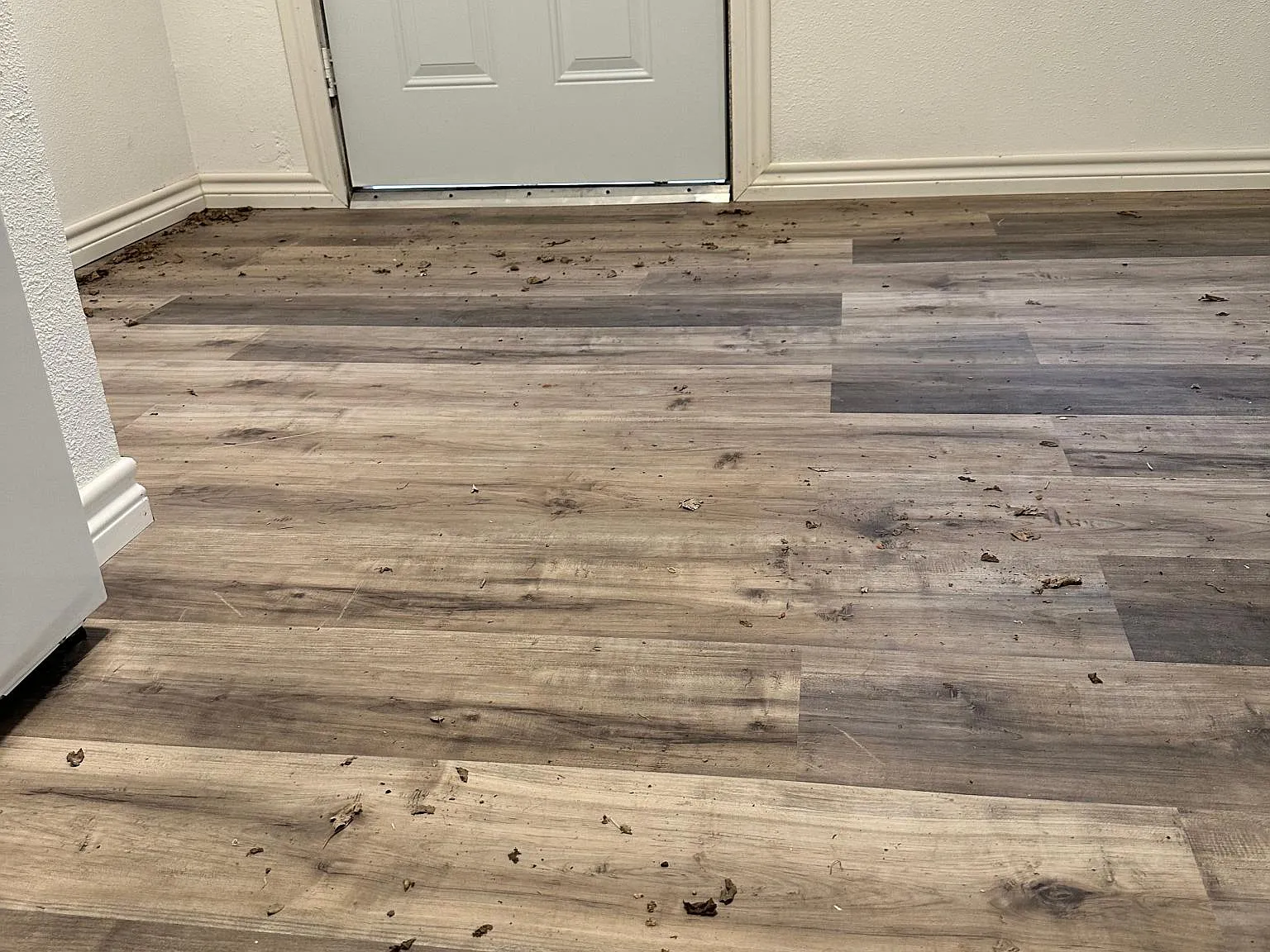 1 bed, 1000 sqft, $900 — Photo 2