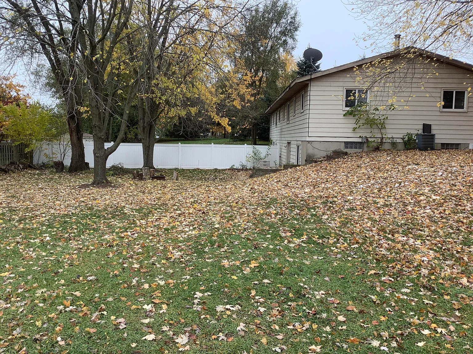 7282 Melody Ln — Photo 3