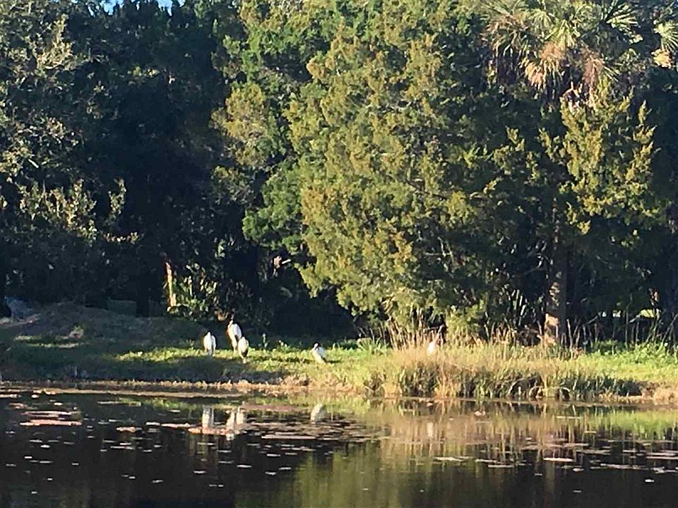 2nd image of 135 Spoonbill Point Ct