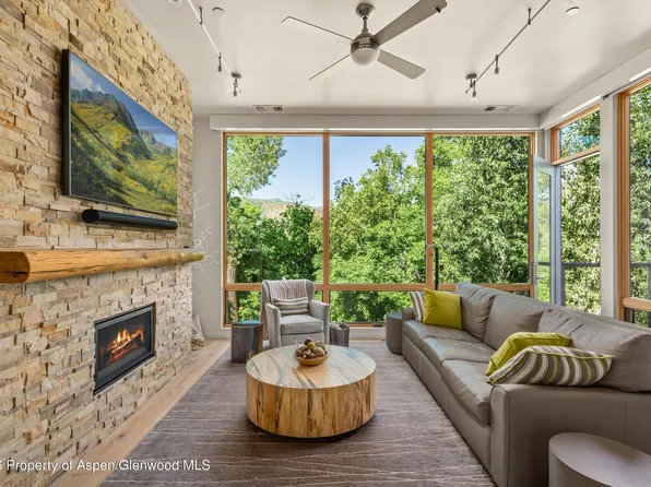 101 Willits Way #205, Basalt, CO 81621