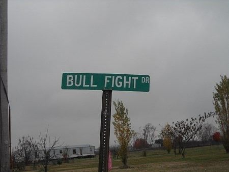 4th image of 545 Bull Fight Dr