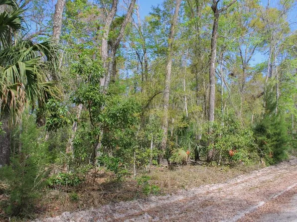  NE 812th St, Old Town, FL 32680