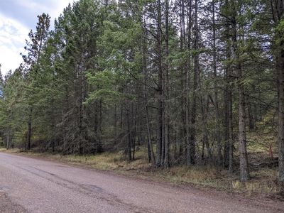 Nhn Hilltop Dr, Polson, MT, 59860