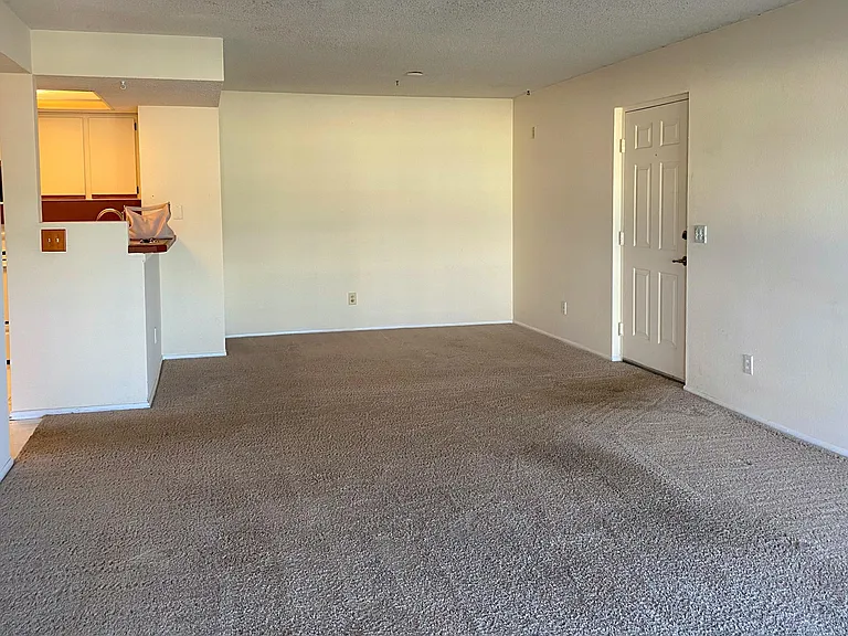 987 Sonesta Ave NE #207 — Photo 4