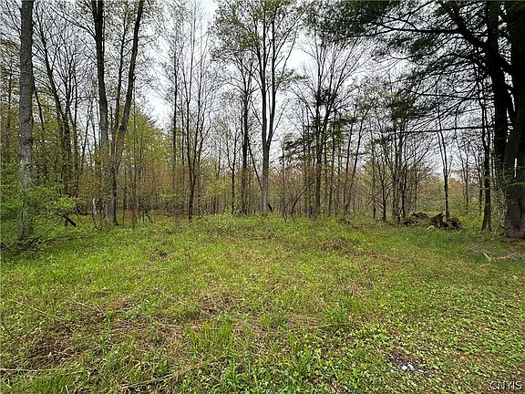 4th image of 4815 Texas Rd Lot 35